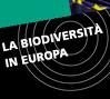 UE presenta strategia per arrestare perdita di biodiversitÃ 