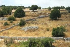 Abbandono delle campagne: aumento criticitÃ  idrogeologiche