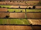 Presentati primi dati su agroalimentare veneto, 2015 sullâ€™ottovolante