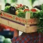 Agricoltura, si punta su innovazione e accordi commerciali internazionali 