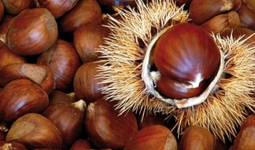Crisi: per 49% di italiani la sagra eâ€™ â€œcoolâ€, boom dâ€™autunno  