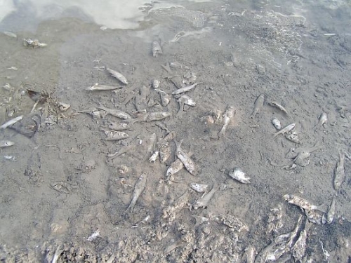 In Sicilia allarme idrogeologico, a Nordest rischio siccitÃ 