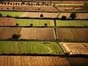 Spese agricole: Italia dovrÃ  rimborsare 21,5 milioni di euro