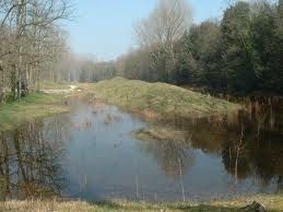 Chioggia (Ve) Bosco Nordio: la natura dice â€œsiâ€